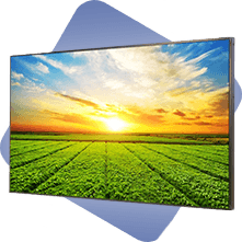 Image d'écran vitrines